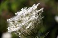 2010 07 13 jeanmarcperfetti.com 009.JPG